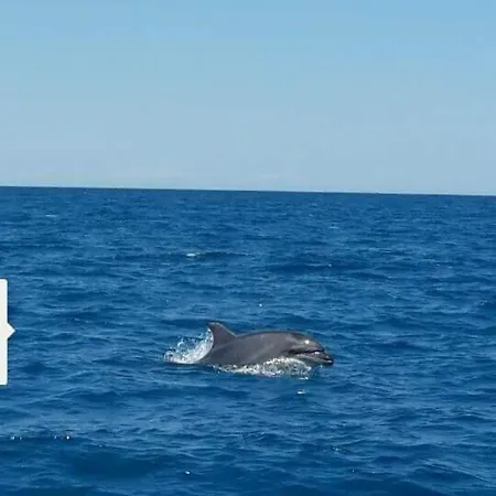 Brezza Marina Сasa de vacaciones